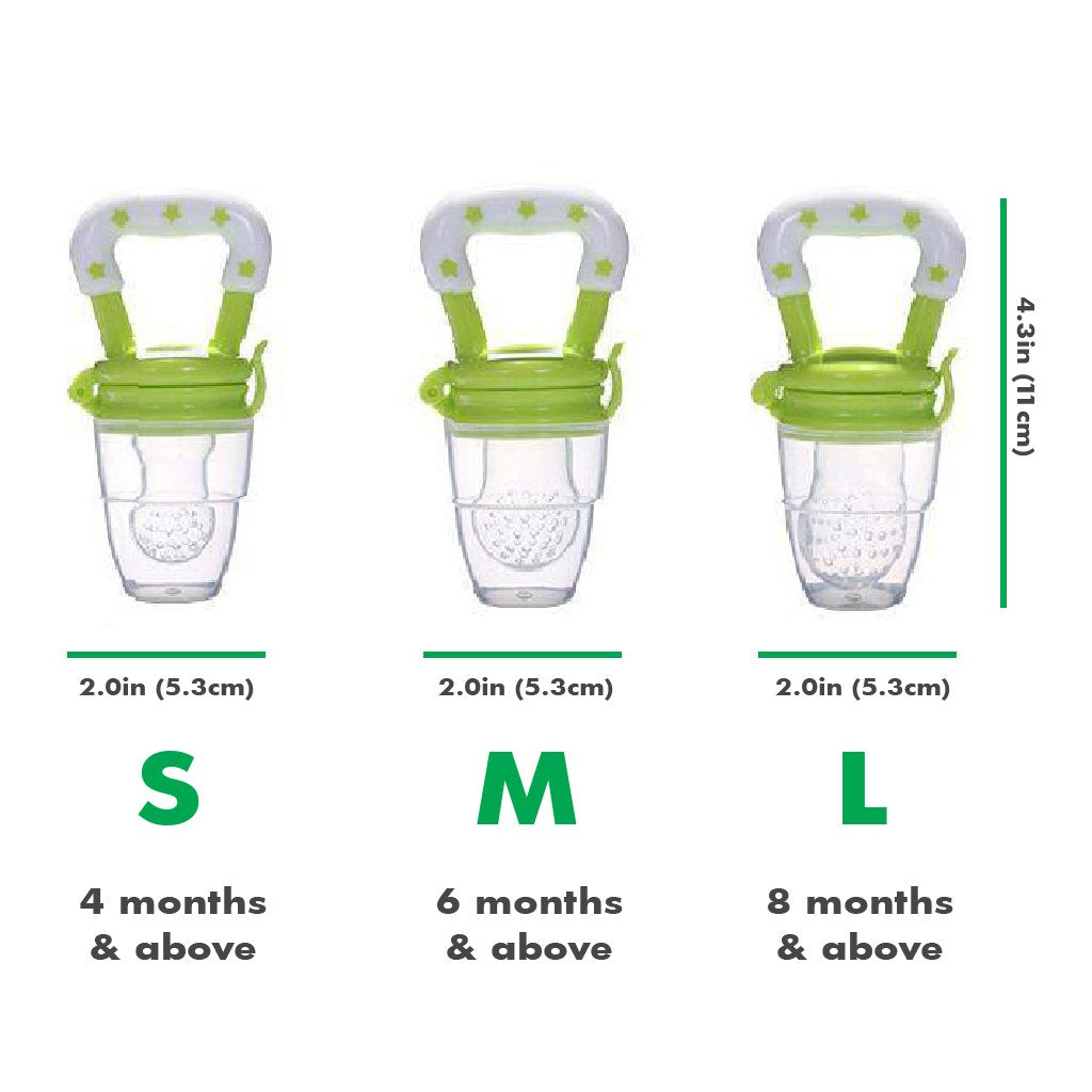 Baby Fresh Food Pacifier