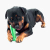 dog toothbrush chew toy