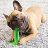 dog toothbrush chew toy