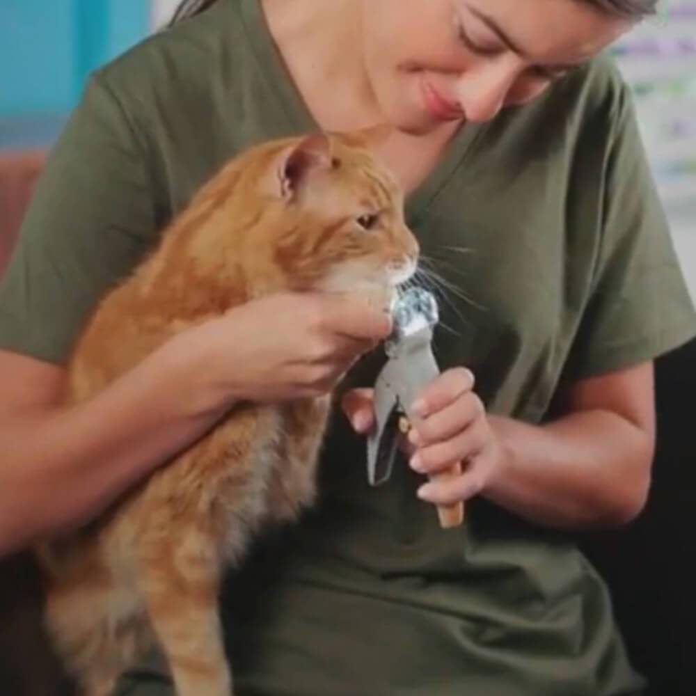 cat claw trimmer with light and magnifier