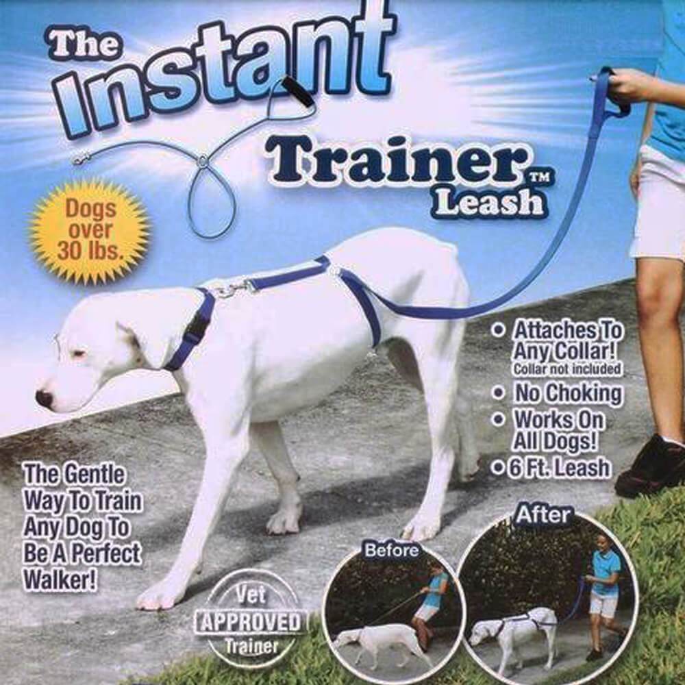 best no pull dog leash