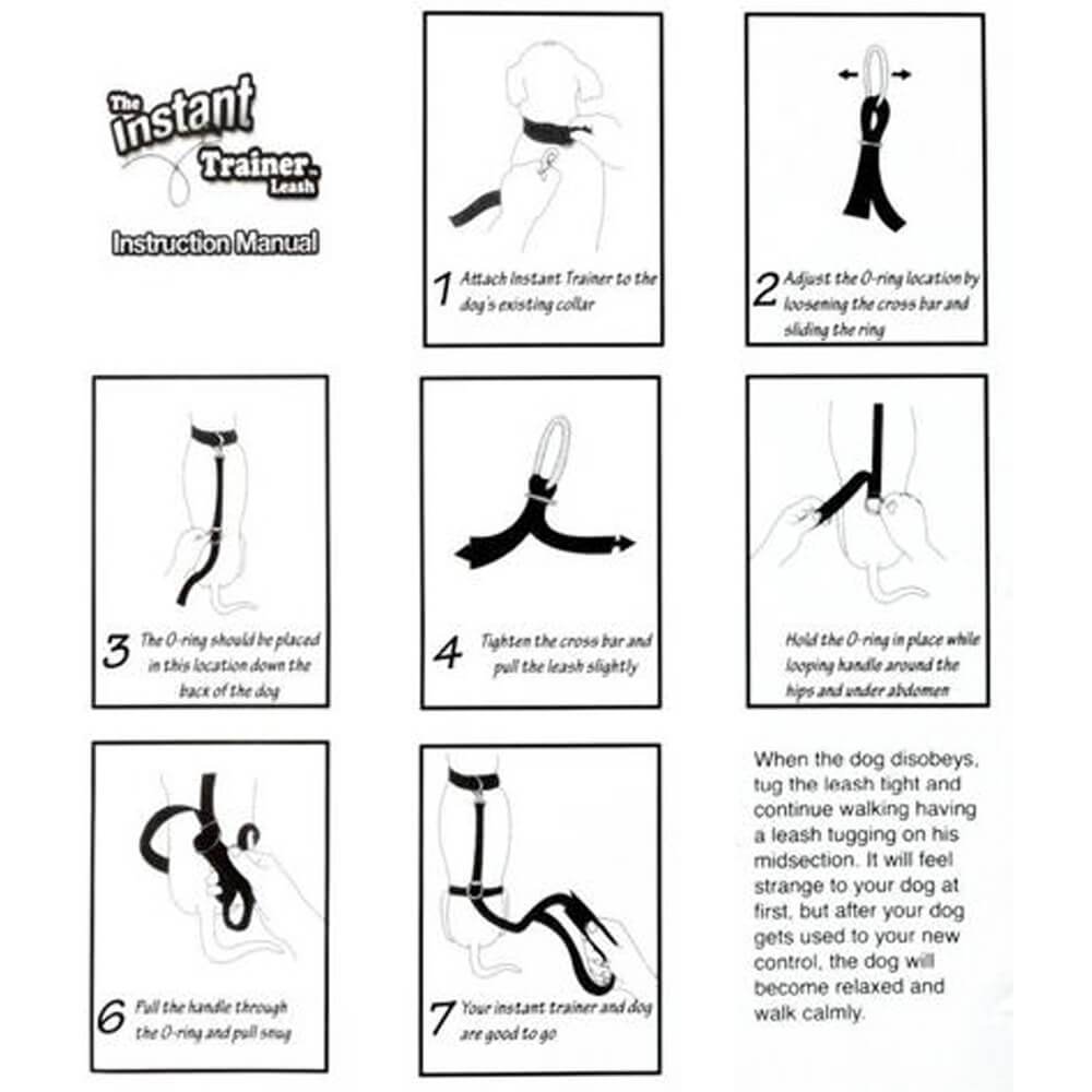 instant trainer dog leash instructions