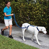 stop pull harness