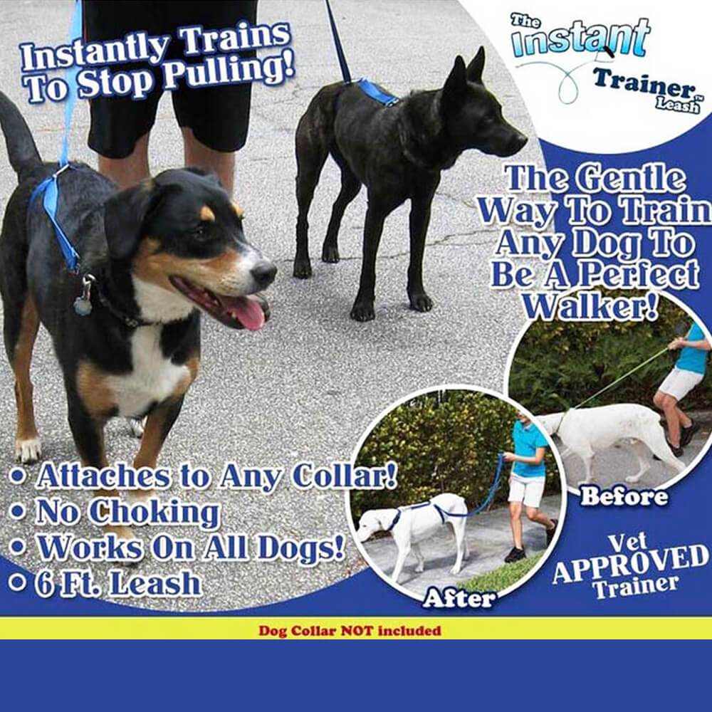 best dog harness to stop pulling