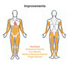 what muscles do rope pulls work - Latex Elastic Pedal Pull Rope