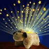 Magical Night Lights