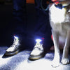 Night Runner Shoe Lights