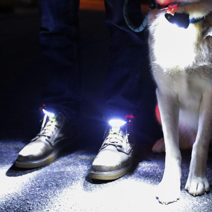 Night Runner Shoe Lights