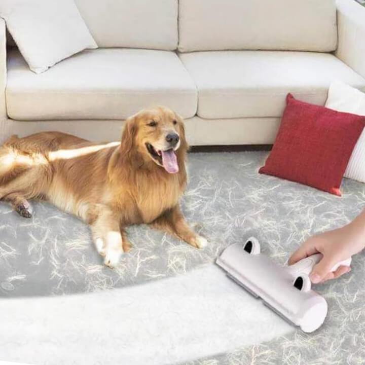 MagiRoller™ Best Dog Hair Remover