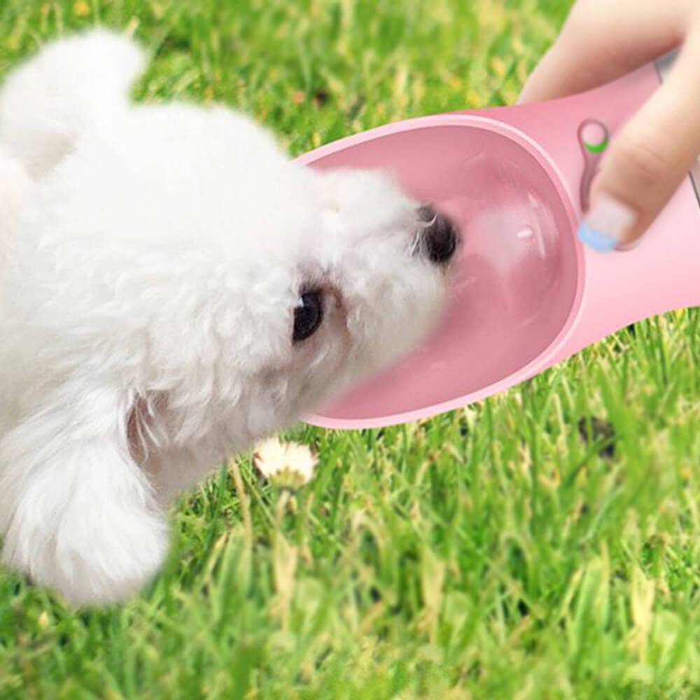 portable pet water dispensing bottle