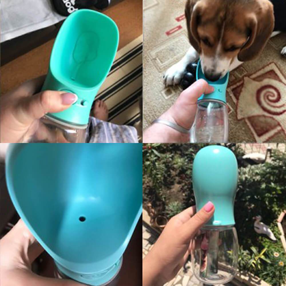 best dog water bottle cat water dispensing bottle
