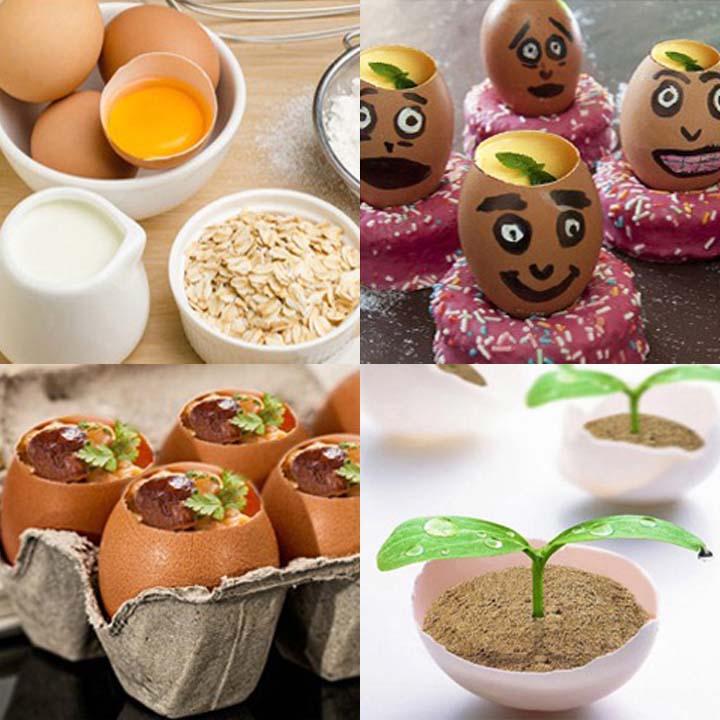 Stainless Steel Egg Shell Top Cracker