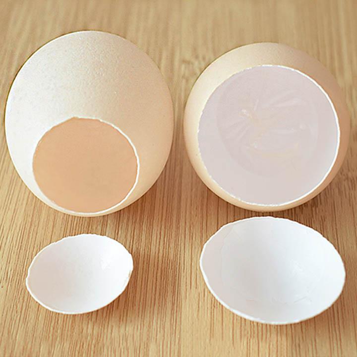Stainless Steel Egg Shell Top Cracker