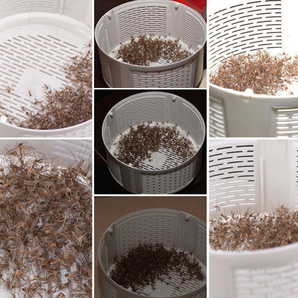 Trap-Lamped Electric Mosquito Killer